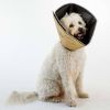 All Four Paws E halsband Comfy Cone S Lang 20 Cm Tan online kopen