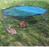 Kerbl Ren 8 hoekig met Zonwering L57xH56cm online kopen