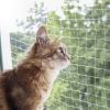 Kerbl Kattenbeschermnet Mia 6 x 3 meter online kopen