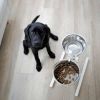 Kerbl Voerbak voor huisdieren met standaard 2x2, 8 L 43 cm wit online kopen