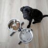 Kerbl Voerbak voor huisdieren met standaard 2x2, 8 L 43 cm zwart online kopen