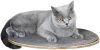 Kerbl Wandgemonteerd kattenbed Tofana 35x50 cm grijs 81543 online kopen