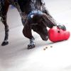 Kong Hondenspeelgoed Snack Dispenser Wobbler L rood online kopen