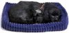 Perfect Petzzz Pluche Slapende Labrador Zwart online kopen