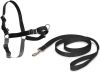 Dobeno Easy Walk Harness S Zwart Honden online kopen