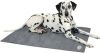 Scruffs & Tramps Honden koelmat grijs 2718 online kopen