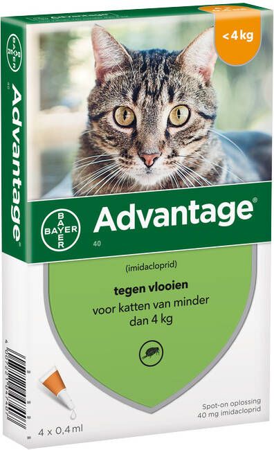 Advantage 2 x Pipetten Â, ®, 40 voor katten van minder 4 kg Dubbelpak - Voorbeesjes.nl