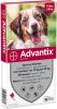 Advantix 10% korting! ®, spot On Solution voor Honden Voor Honden 10 kg 25 kg (6 Pipetten ) online kopen