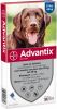 Advantix 10% korting! ®, spot On Solution voor Honden Voor Honden 10 kg 25 kg (6 Pipetten ) online kopen
