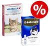 Bolfo 10% korting! Beschermingspakket half jaar indoor katten vanaf 4 kg online kopen