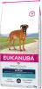 Eukanuba 2x12kg Boxer Breed Specific Hondenvoer online kopen