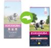 Eukanuba 15% korting! Caring Senior Large Breed Kip Hondenvoer Senior Medium Breed Kip 15 kg online kopen