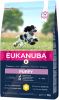 Eukanuba 15% korting! Caring Senior Large Breed Kip Hondenvoer Puppy Medium Breed Kip 15 kg online kopen