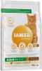 Iams 10% korting! Vitality droogvoer 10 kg Adult Sterilised Chicken online kopen