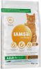 Iams 10% korting! Vitality droogvoer 10 kg Adult Sterilised Chicken online kopen