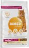Iams 10% korting! Vitality droogvoer 10 kg Senior & Mature online kopen