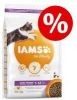 Iams 10% korting! Vitality droogvoer 10 kg Adult Sterilised Chicken online kopen