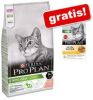 Pro Plan Delicate Adult 1+ Optidigest kalkoen kattenvoer 2 x 10 kg + Gratis 4 x Felix Party Mix Snacks online kopen