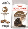 Royal Canin Ageing 12+ Kattenvoer 4 kg online kopen