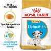 Royal Canin Puppy Dalmatiër hondenvoer 2 x 12 kg online kopen