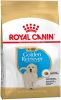 Royal Canin Golden Retriever Puppy Hondenvoer 12 kg online kopen