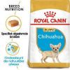 Royal Canin Breed 3x1, 5kg Chihuahua Puppy Hondenvoer online kopen