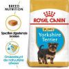 Royal Canin Breed 3x1, 5kg Yorkshire Terrier Puppy Hondenvoer online kopen