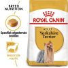 Royal Canin Yorkshire Terrier Adult Hondenvoer Bestel ook natvoer 12 x 85 g Royal Canin Yorkshire Terrier Adult online kopen