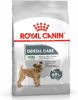 Royal Canin Dental Care Mini Hondenvoer 3 kg online kopen