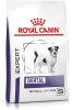 Royal Canin Veterinary Diet Dental Special Small Dog < 10kg Hondenvoer 3.5 kg online kopen